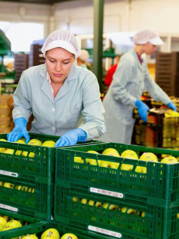 Sistema MES para la industria 4.0 hortofrutícola