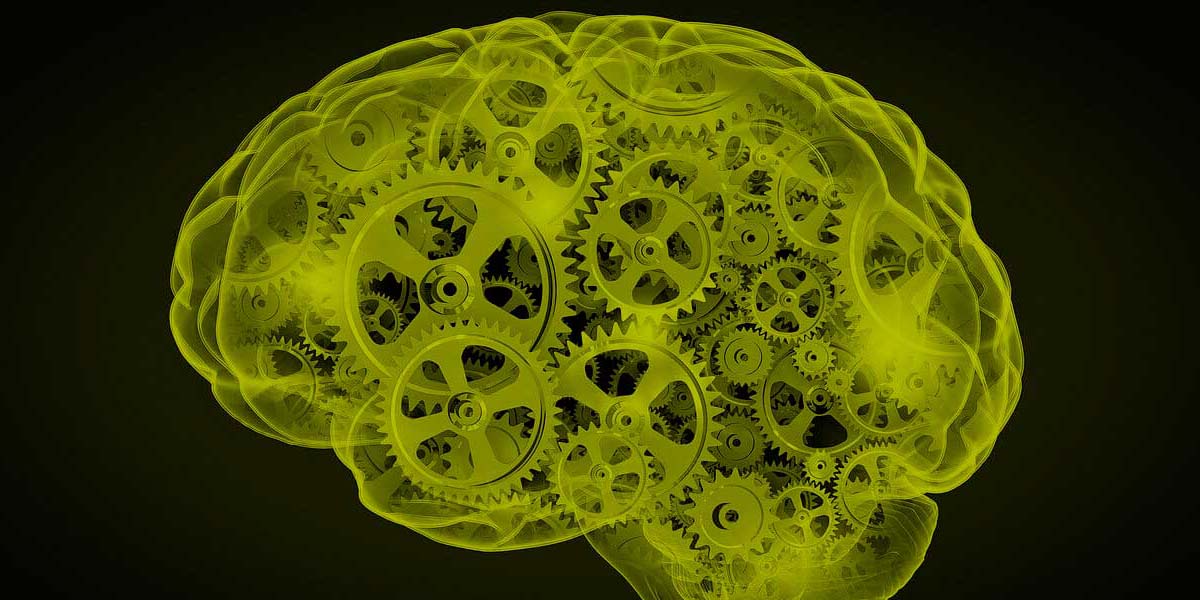 Business intelligence