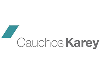 Clientes en la industria 4.0: Cauchos Karey