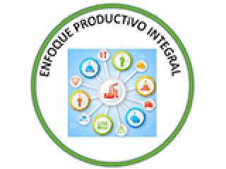 Partners en industria 4.0: Enfoque Productivo Integral