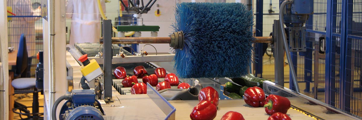 Cadena de producción hortofrutícola