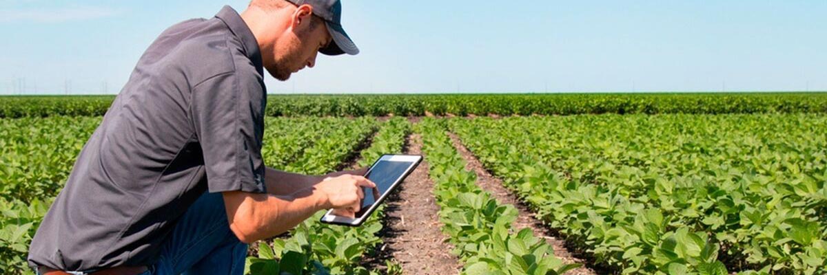 Cadena de producción hortofrutícola