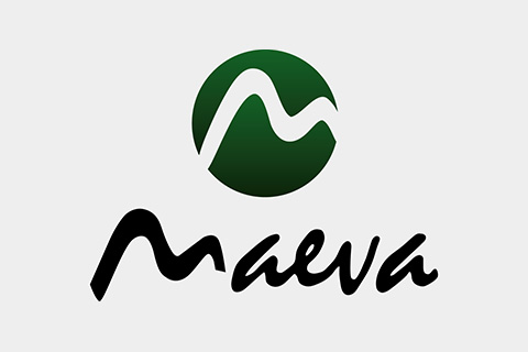 Success stories in Industry 4.0 Maeva