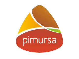 Control de producción ejemplo: Pimursa